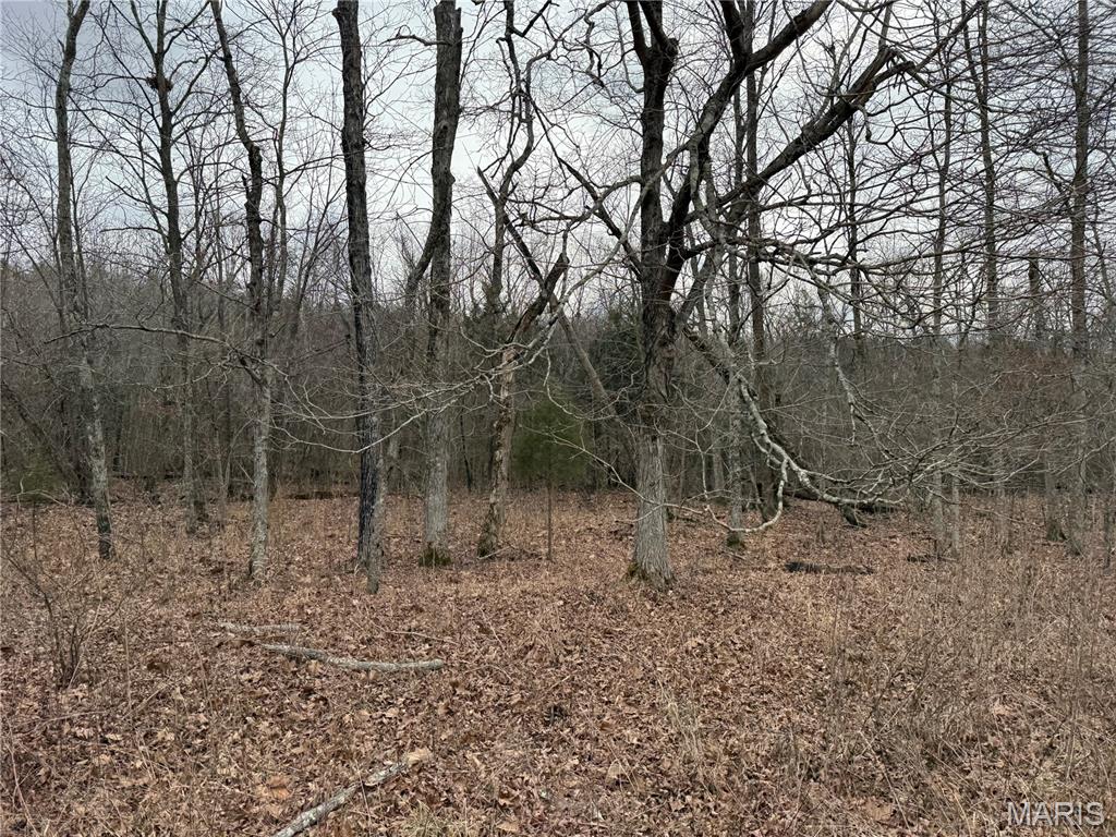 Tract 2 Madison 248