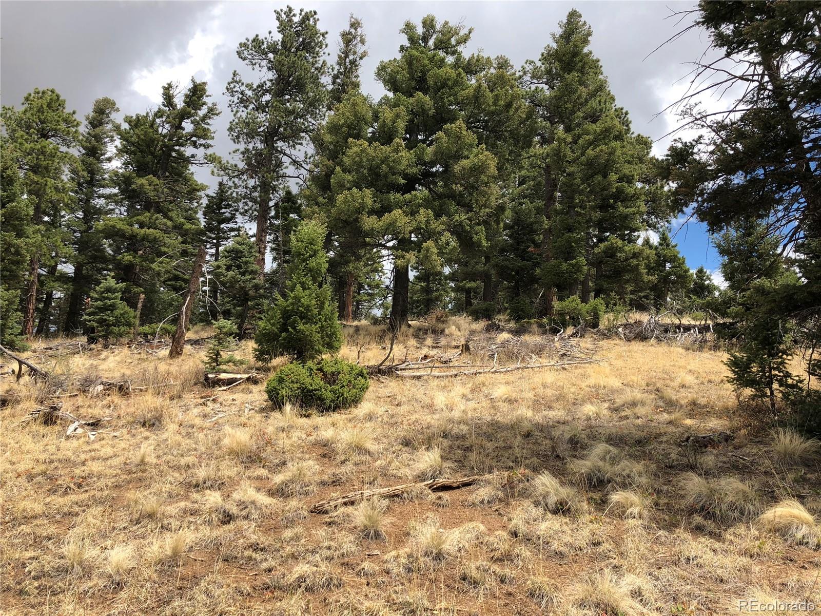 Lot 174 Ferris Place