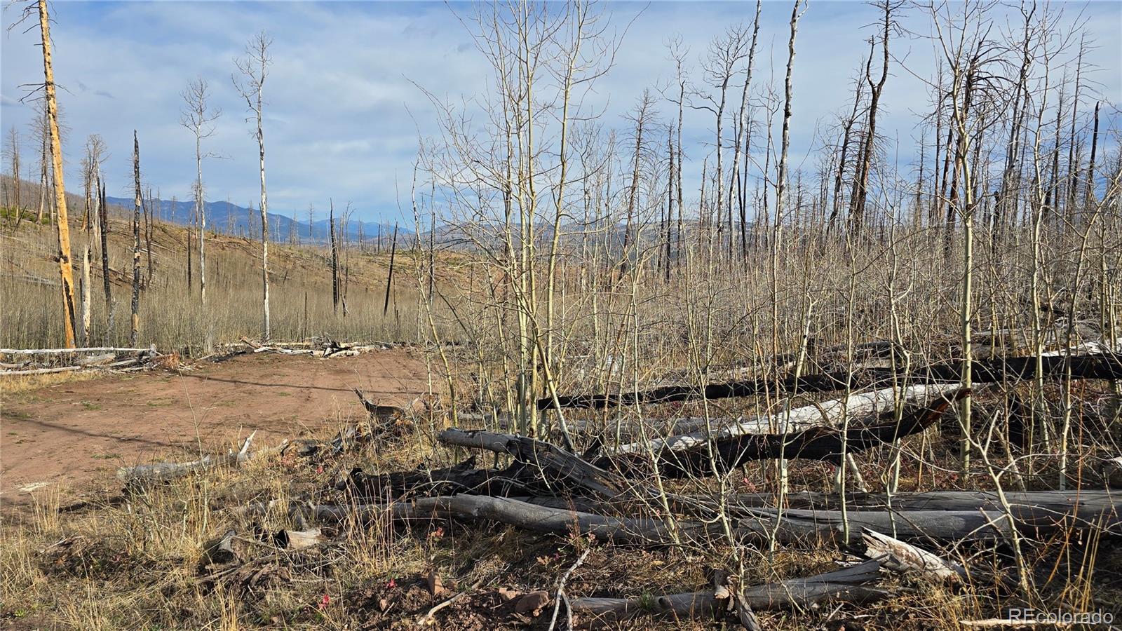 Lot 880 Slaoui Place