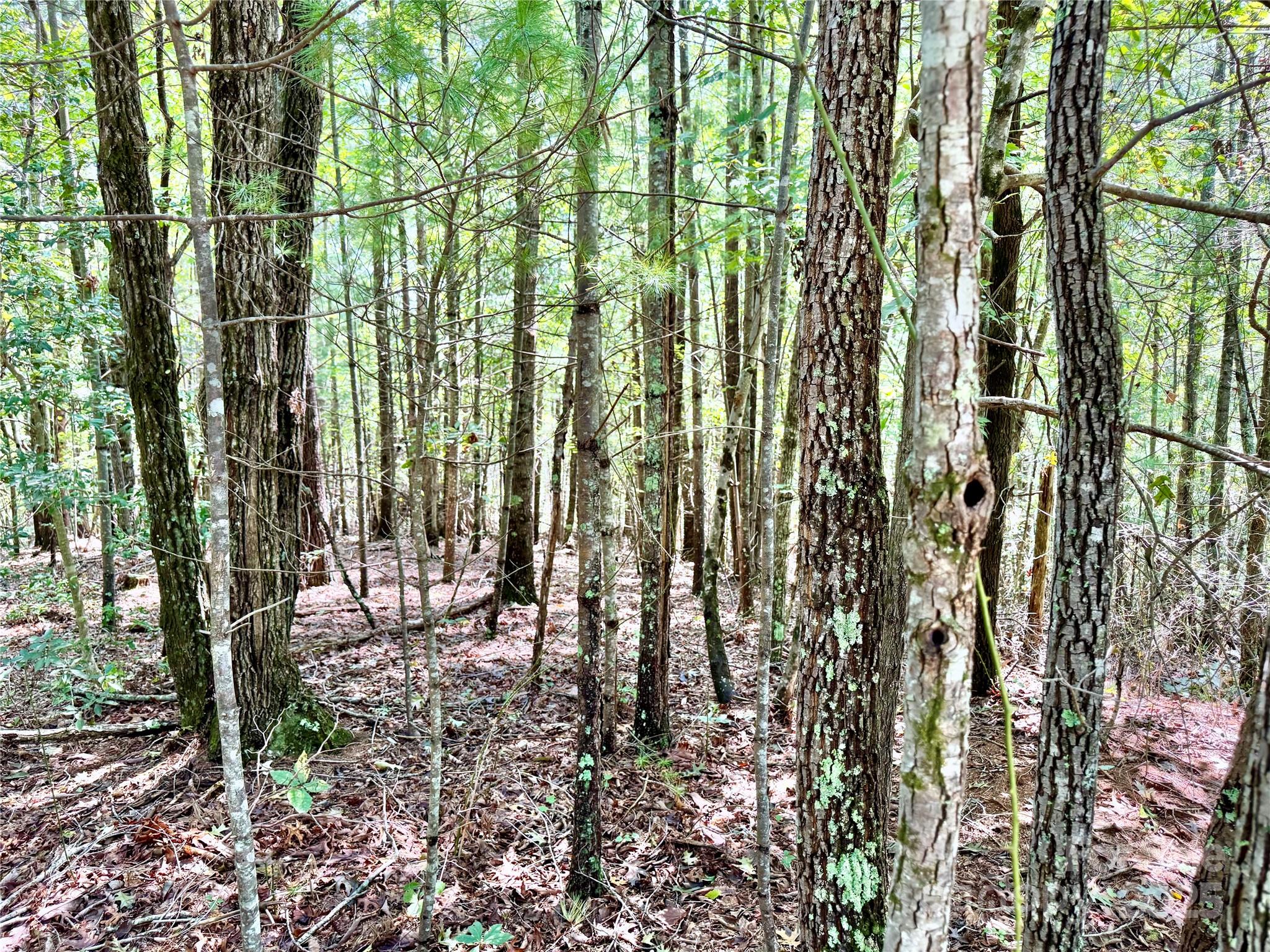 3.31 acres, Lot 37 Poplar Bluff Drive SE 37