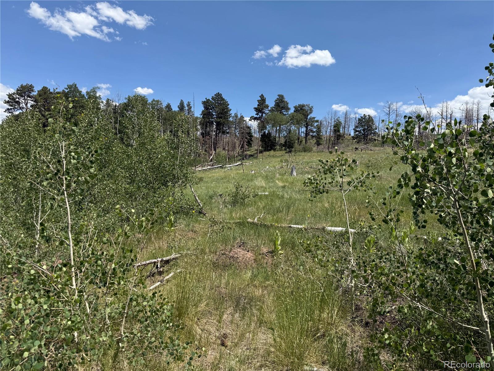 Lot 1103 Emery Loop