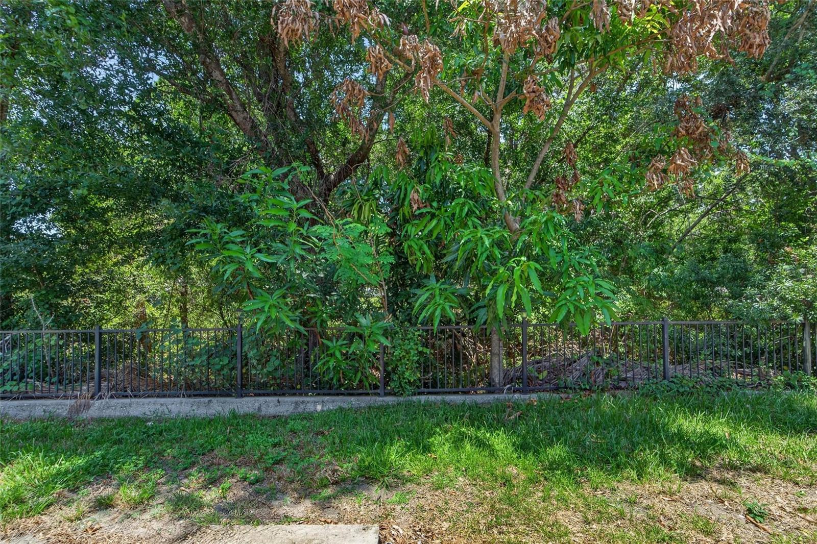 10818 Brickside Court
