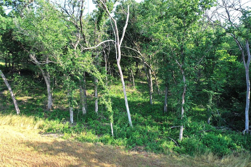 Discover the perfect setting for your dream home on this wooded 2.49-acre lot in the gated Wilshire Park community. Offering both privacy and natural beauty, the property features a pond along the southern boundary and a creek along the eastern boundary. Wilshire Park is an open-builder community, allowing buyers to select their own approved builder, with plans subject to Architectural Review Board approval and a minimum home size of 3,500 square feet. The property also allows for up to two detached outbuildings, providing added flexibility for a shop, guest house, pool house, or additional storage. Enjoy peaceful, estate-style living while remaining conveniently located in the heart of Oklahoma City.