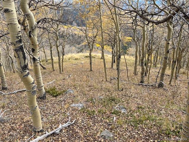 Lot 6557 Schlueter Road