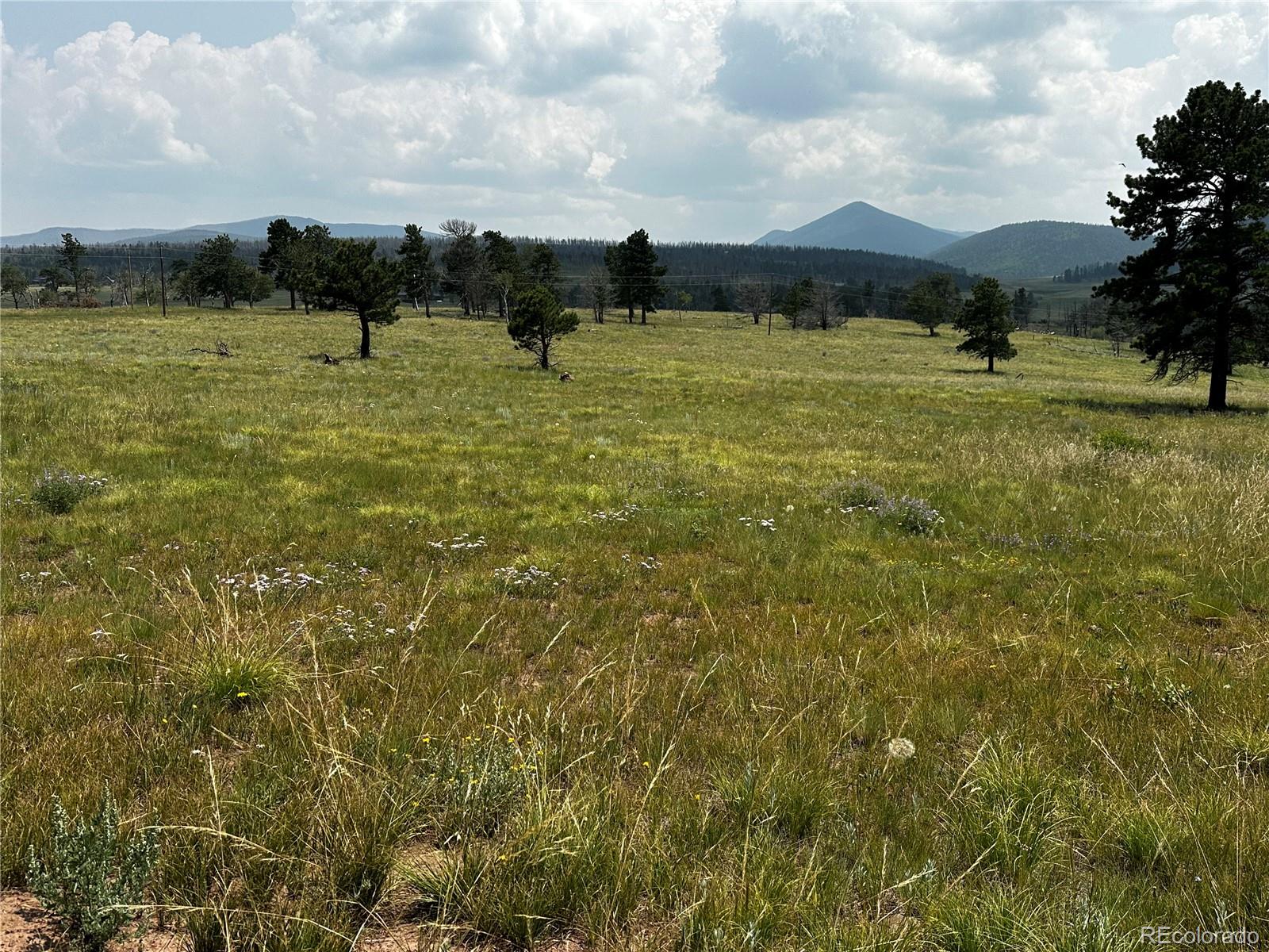 1718 Mara Loop