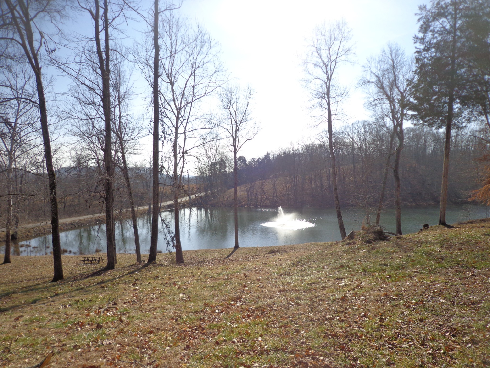 0 Deer Grass Ln