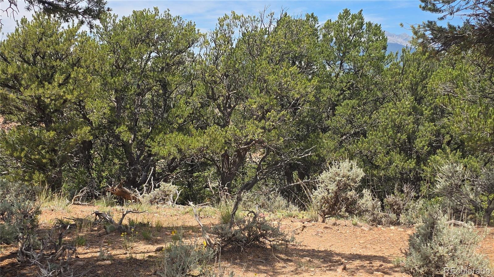 Lot 4435 Beekman Road