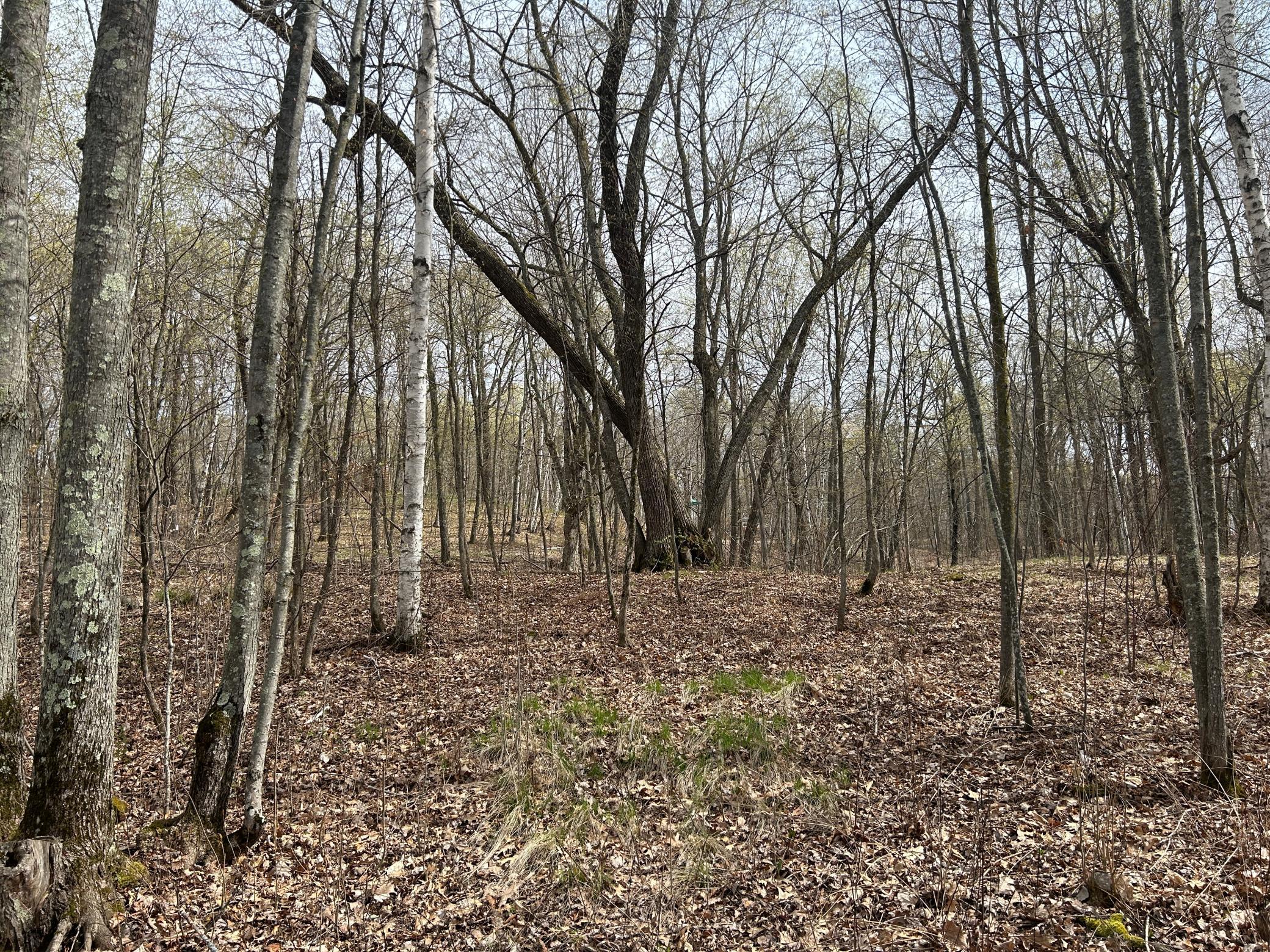 TBD Meander Way