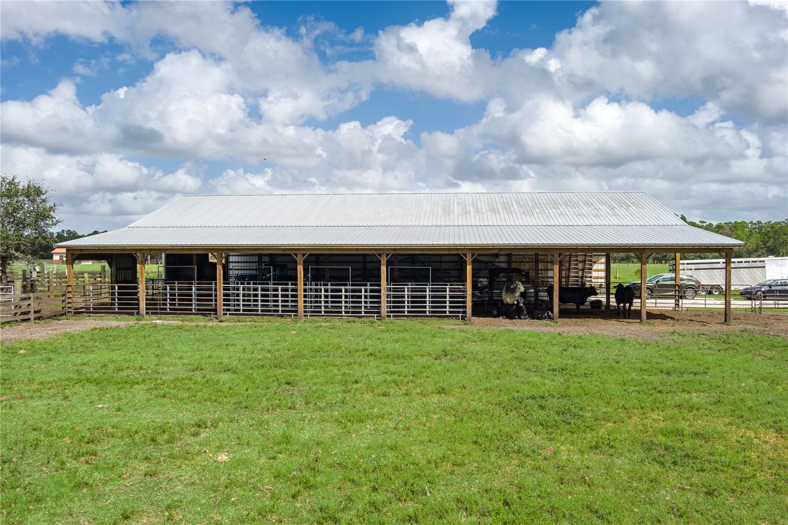 1126 County Road 665