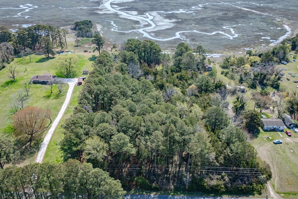 Fishermen & Hunters Paradise! Discover the perfect escape with this beautifully wooded lot, offering privacy and endless potential to build your dream getaway or coastal retreat. Ideally located with convenient access to the barrier islands (Cedar  & Parramore Island) and the Atlantic Ocean, this property is a gateway to some of the Eastern Shore's best outdoor recreation. Just minutes from Quinby Marina and Wachapreague Marina, you'll enjoy easy boat access for fishing, crabbing, and exploring the surrounding waters. Wachapreague—proudly known as the “Flounder Capital of the World”—is a haven for anglers and nature enthusiasts alike.  Whether you're seeking a peaceful hunting retreat or a basecamp for unforgettable fishing adventures, this property offers the best of both worlds.
