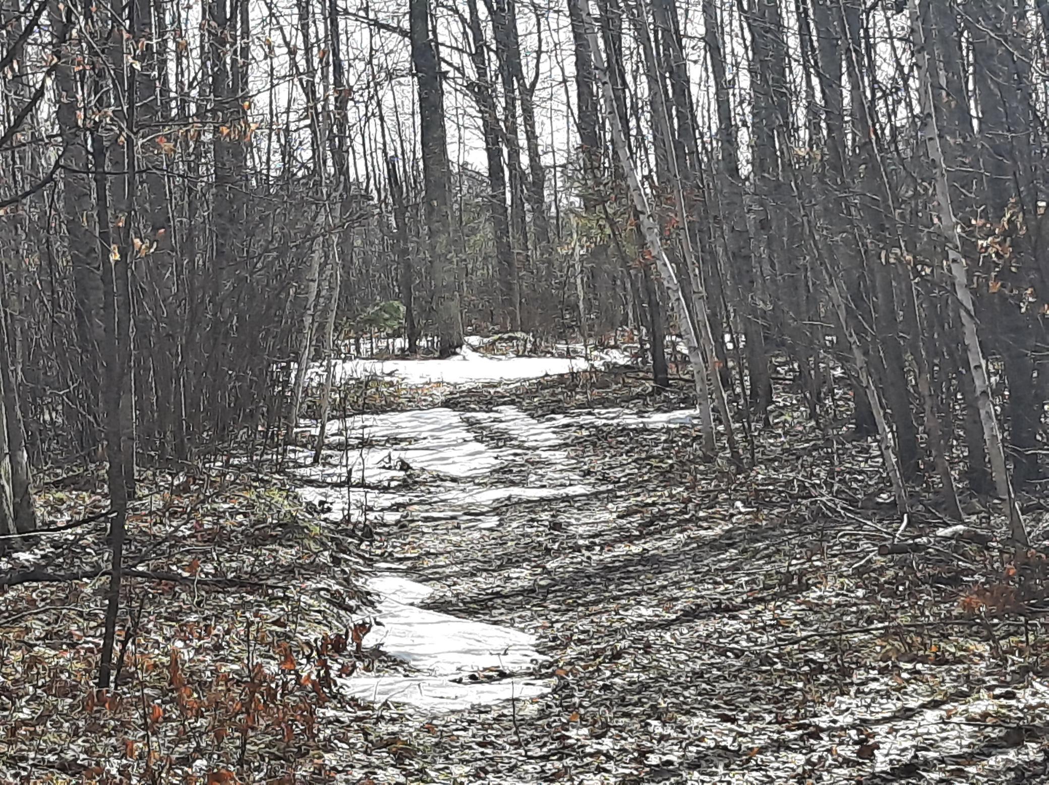 TBD Washburn Bay Trail NE