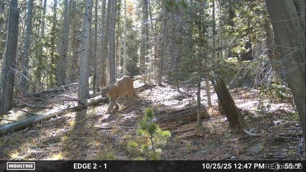 Lot 3427 Grojean Drive