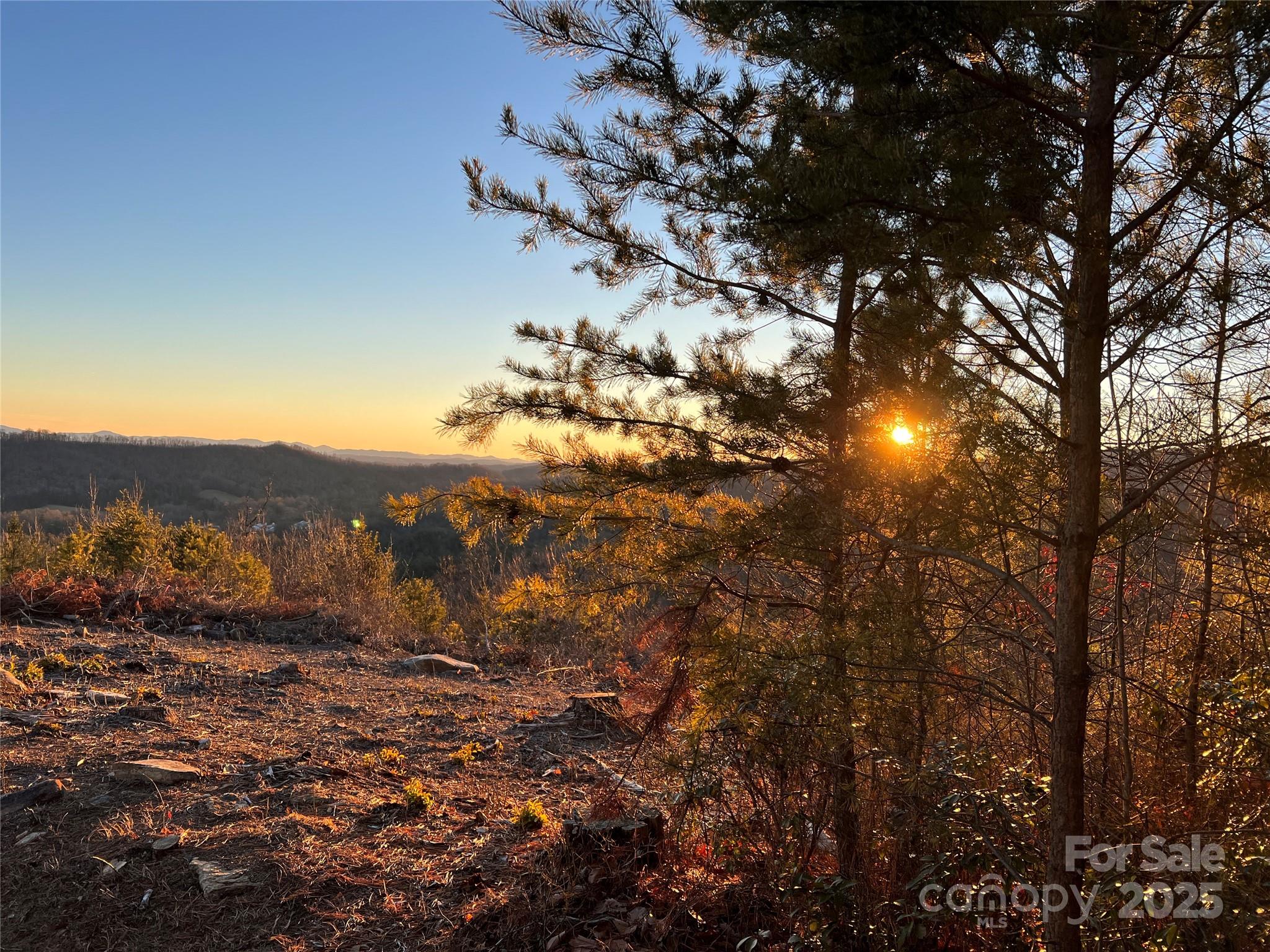 TR 14 Blackberry Ridge