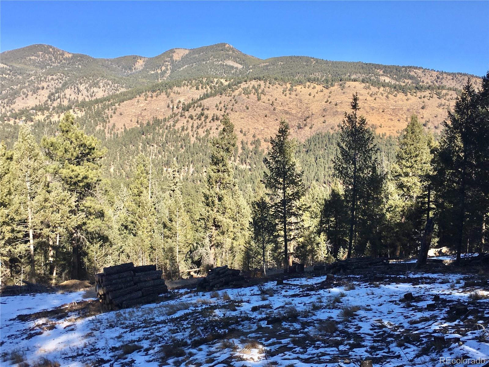 33884 Bergen View Trail