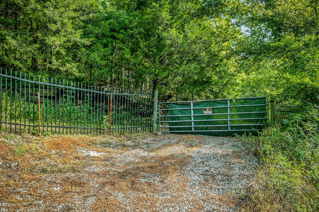 392 Possum Hollow Rd