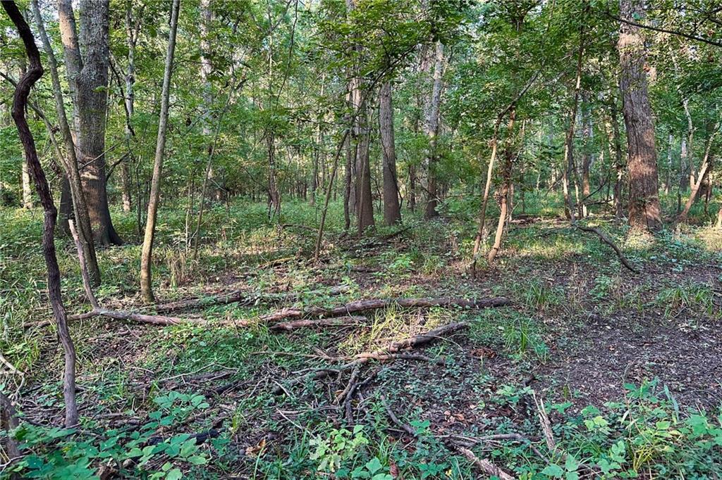 E Elias Road