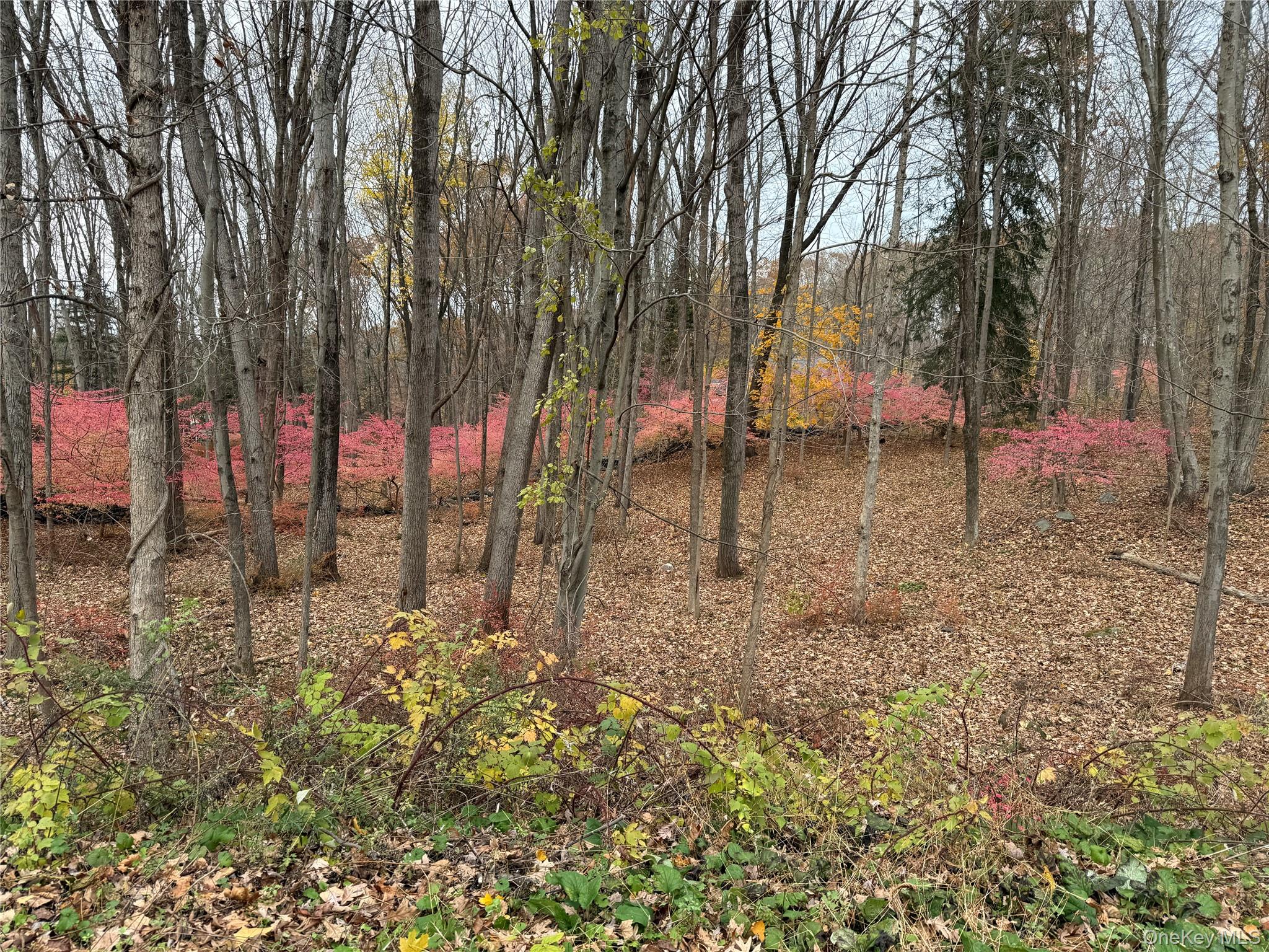 Build Your Dream Home in the Byram Hills School District. 334 Bedford Banksville Road offers a rare opportunity to create a custom built home in one of Westchester's most sought-after communities. This 3.4 acre property is Board of Health Approved 5-Bedroom Septic System, with a completed drainage plan and room for a pool. Existing partially completed house plans are available to fast-track your design, or bring your own architect to build your vision from the ground-up. This lot provides a private setting with an estate-like feel, while being minutes to the villages of Armonk, Bedford, and Greenwich for dining, shopping, nature parks and so much more. Across the street is one of North Castle's town park parks offering tennis, pickle ball and basketball - a lifestyle amenity right at your doorstep. With septic and drainage approvals in place, this property is a true blank canvas ready for your dream home in Byram Hills school district. Buildable land with approved septic and drainage is difficult to find. Property sited for a pool. Don't miss this amazing opportunity! Lot is cleared and easy to walk. Come and see it.