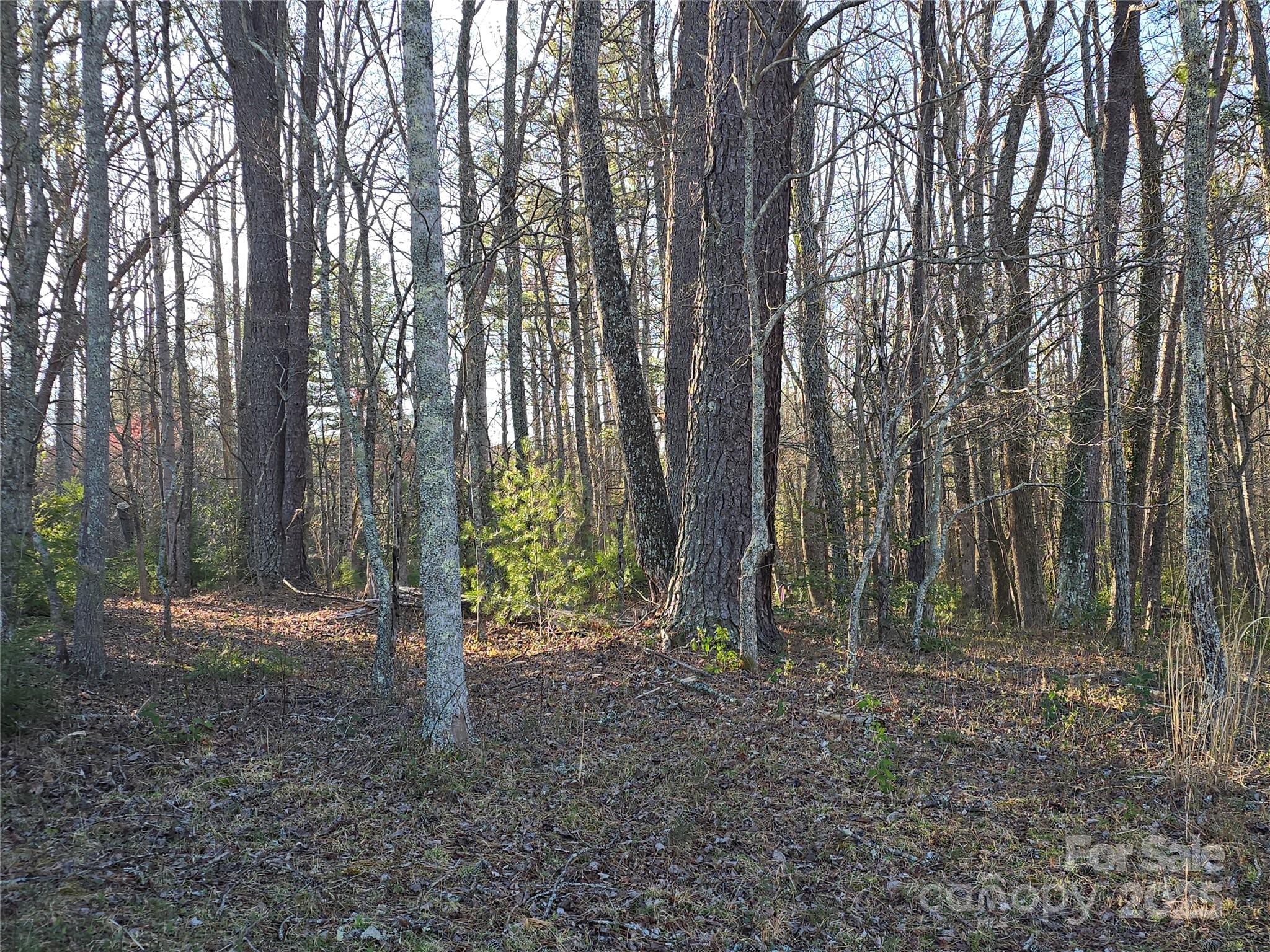 117 Woods View Trail