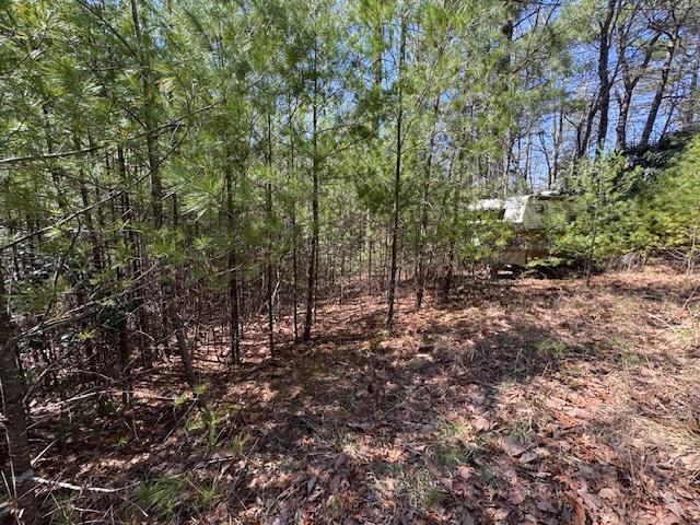Looking for a peaceful, tranquil get away place? Come take a look at this wooded lot located on a private road.  Road is not state maintained.  Please see MLS docs for restrictions.  SUV or truck recommended for showing.