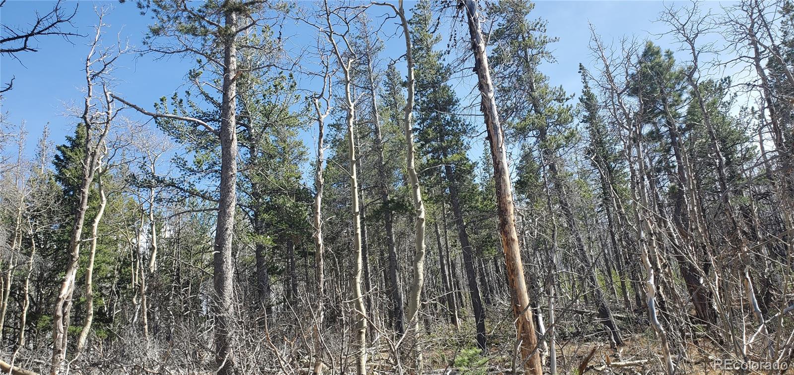 Lot 2560 Grojean Drive