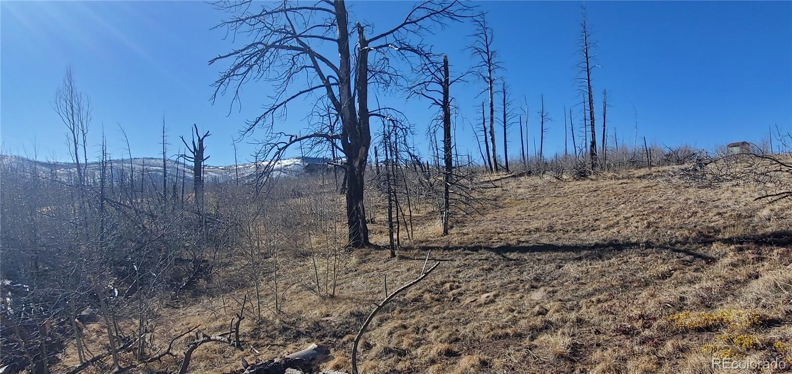 Lot 1566 Cary Lane