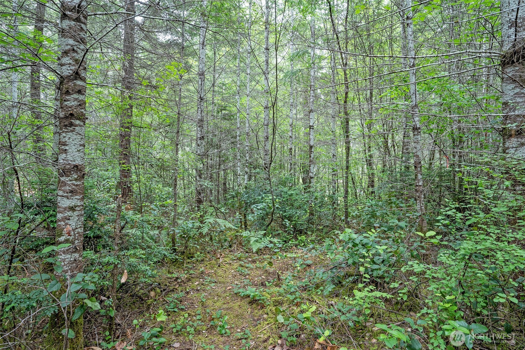 0 E Tepee Lane