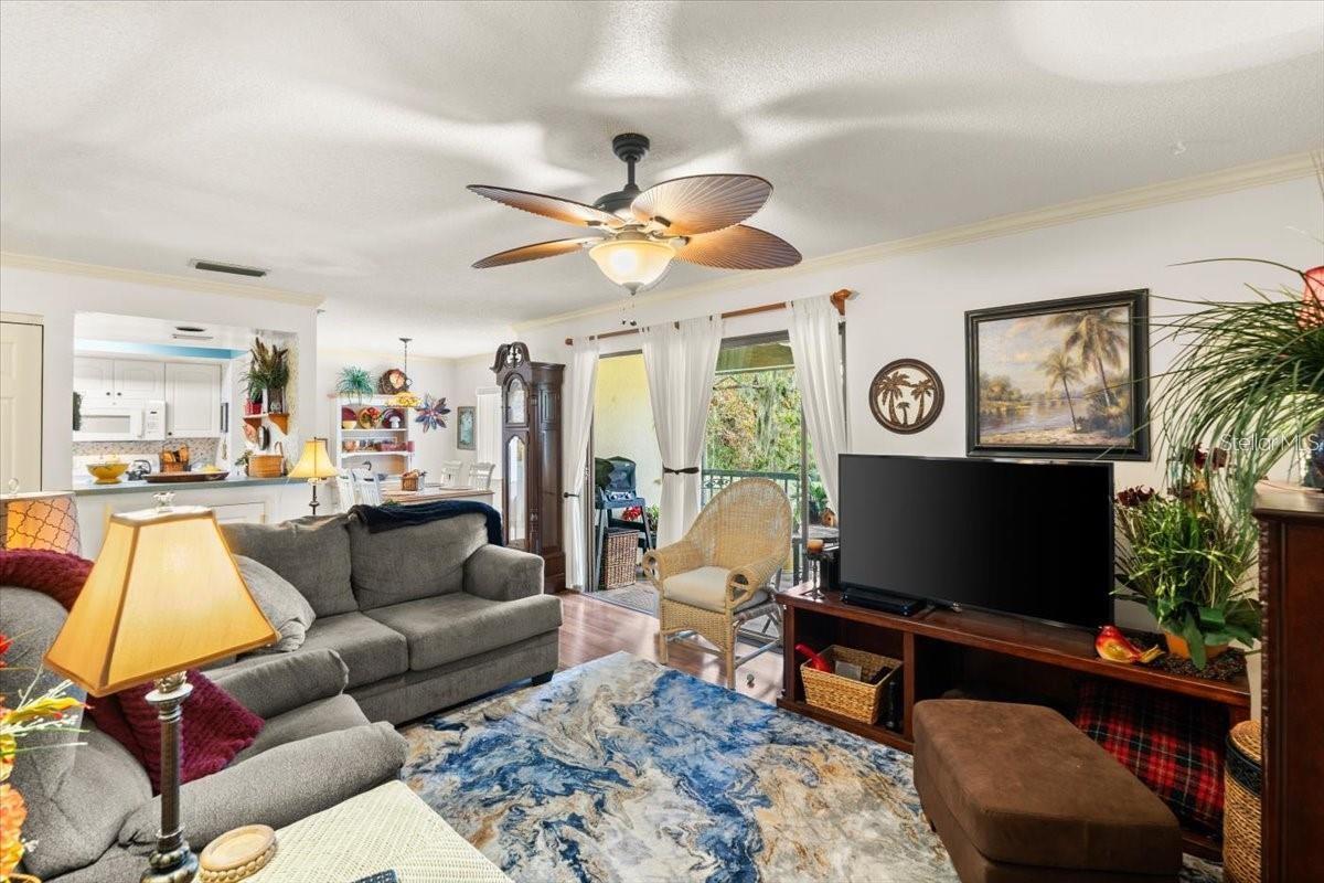 310 NE Palm Coast Parkway 203