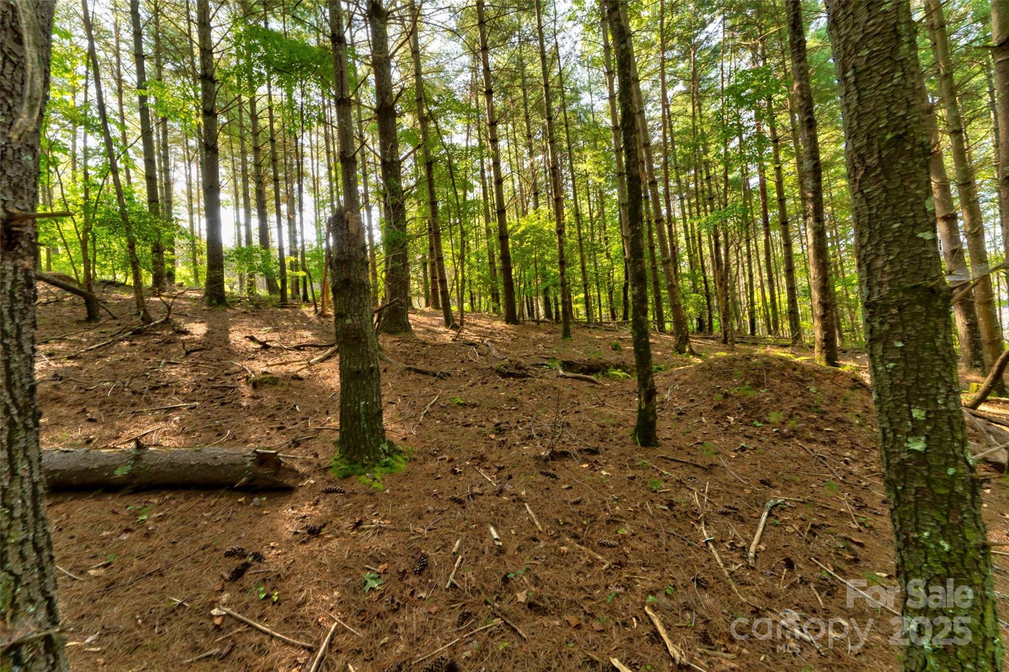 77 Whispering Pines Trail 82