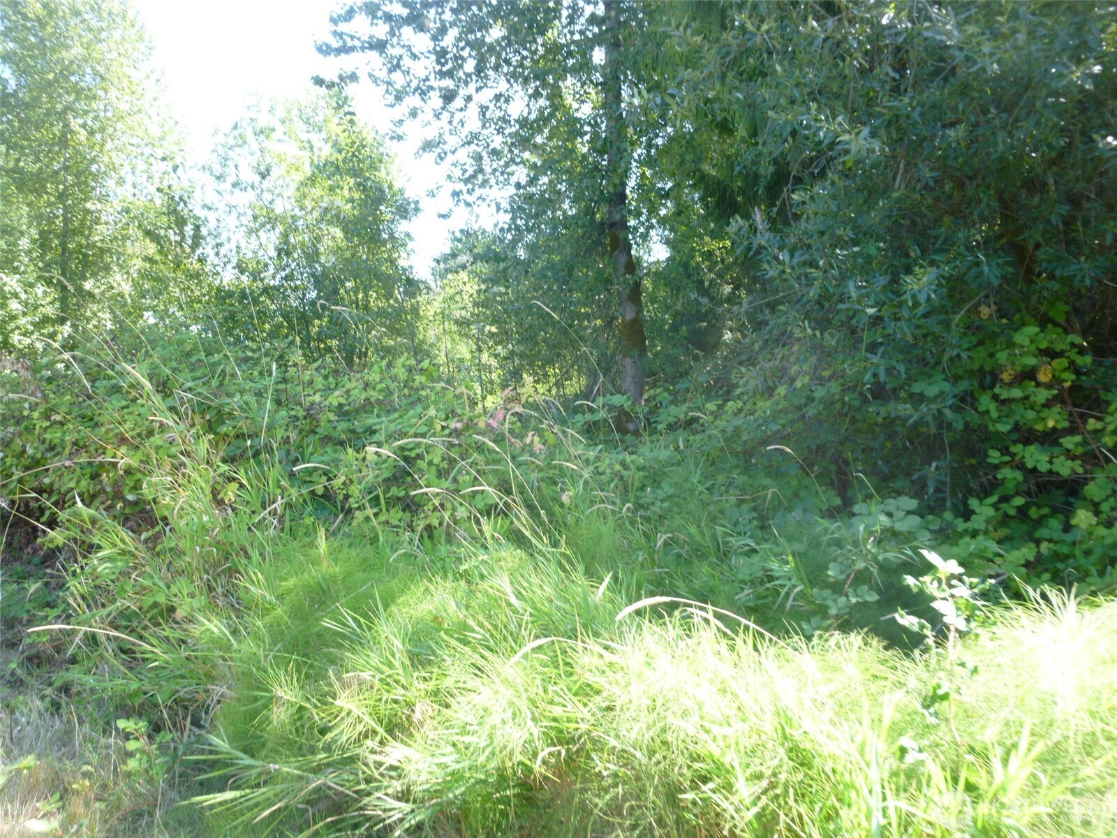 0 Larch Way
