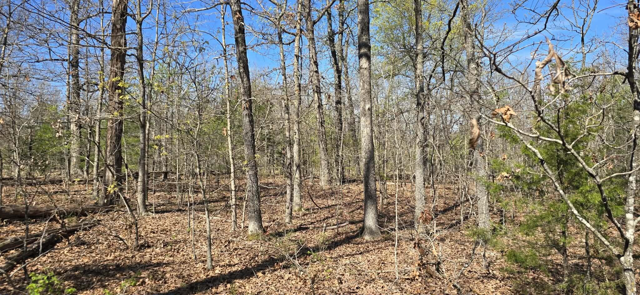 000 Timber Road