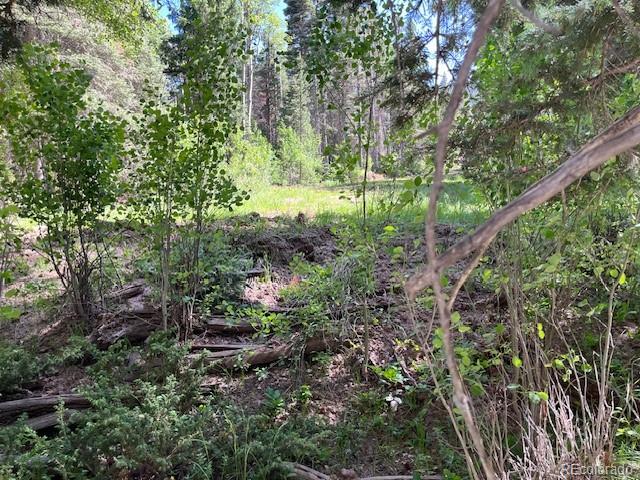 Lot 2893 Coder Place