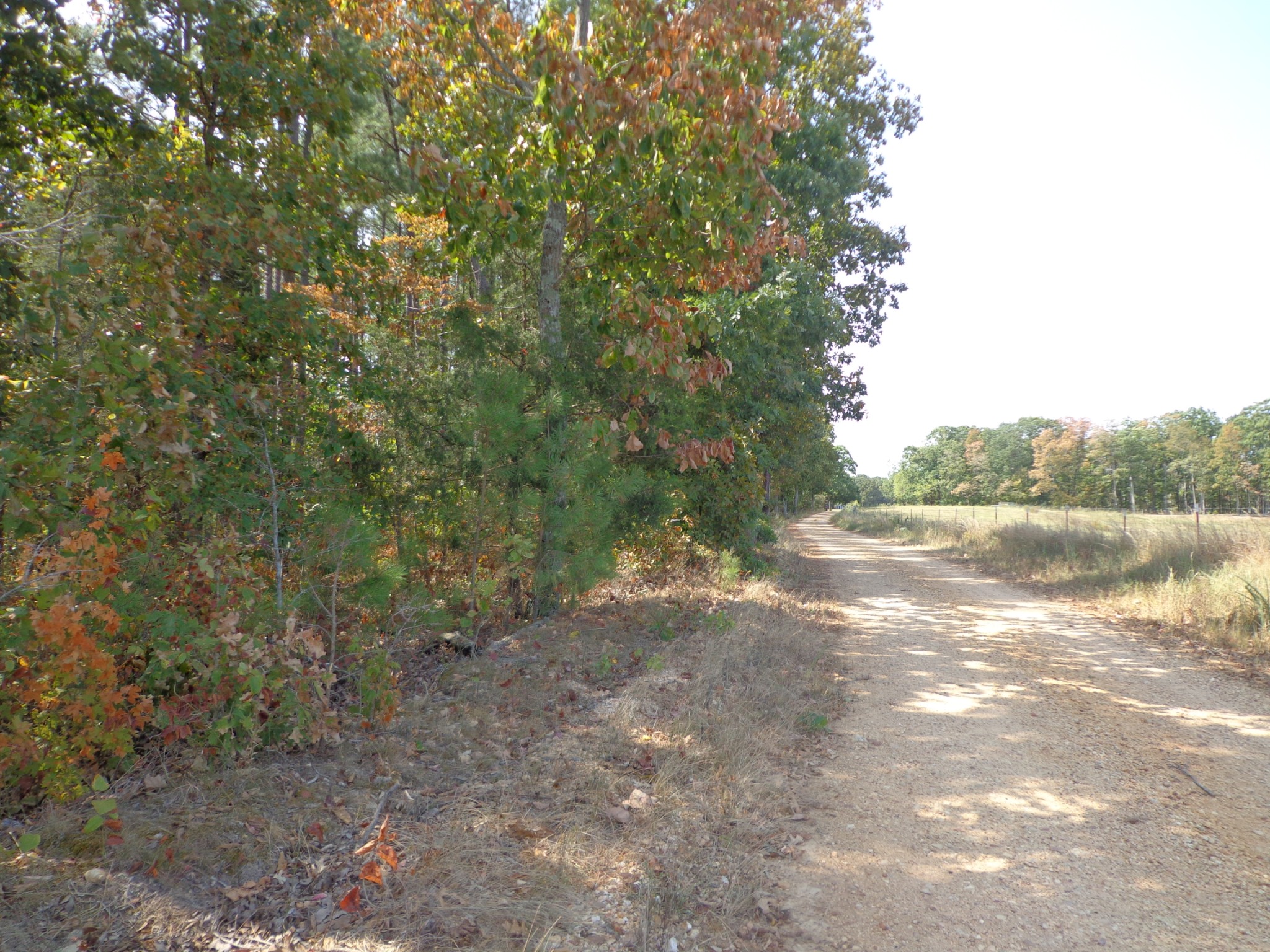 0 Tennessee Ridge Road