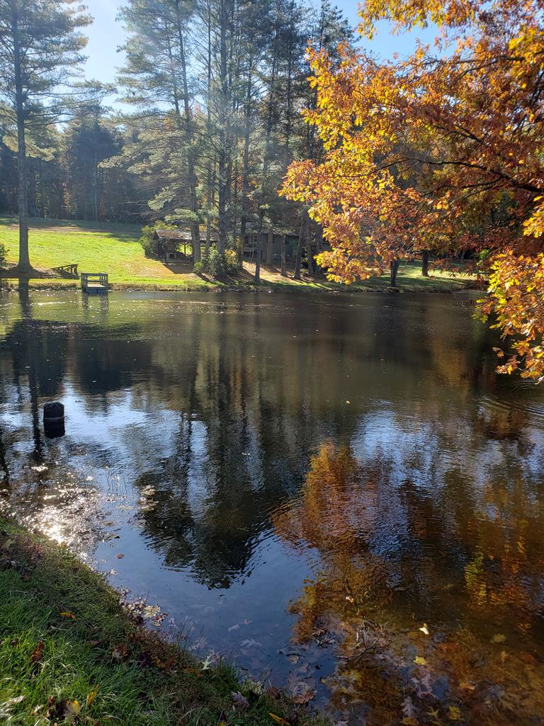 Perfect for Hunters or Vacation.  Enjoy 4 cleared acres. Gated for privacy  & protection. New 7,200 watt solar system, New 330 foot deep well in place. Newly installed septic system. New Bathroom (sink, toilet, shower & tankless hot water heater). Stocked  pond, enclosed deer stand. Abundant wiled life. Just off the Blue Ridge Parkway minutes from the Blue Ridge Music Center. Electricity and Internet may be available. Buyer must verify all representations.