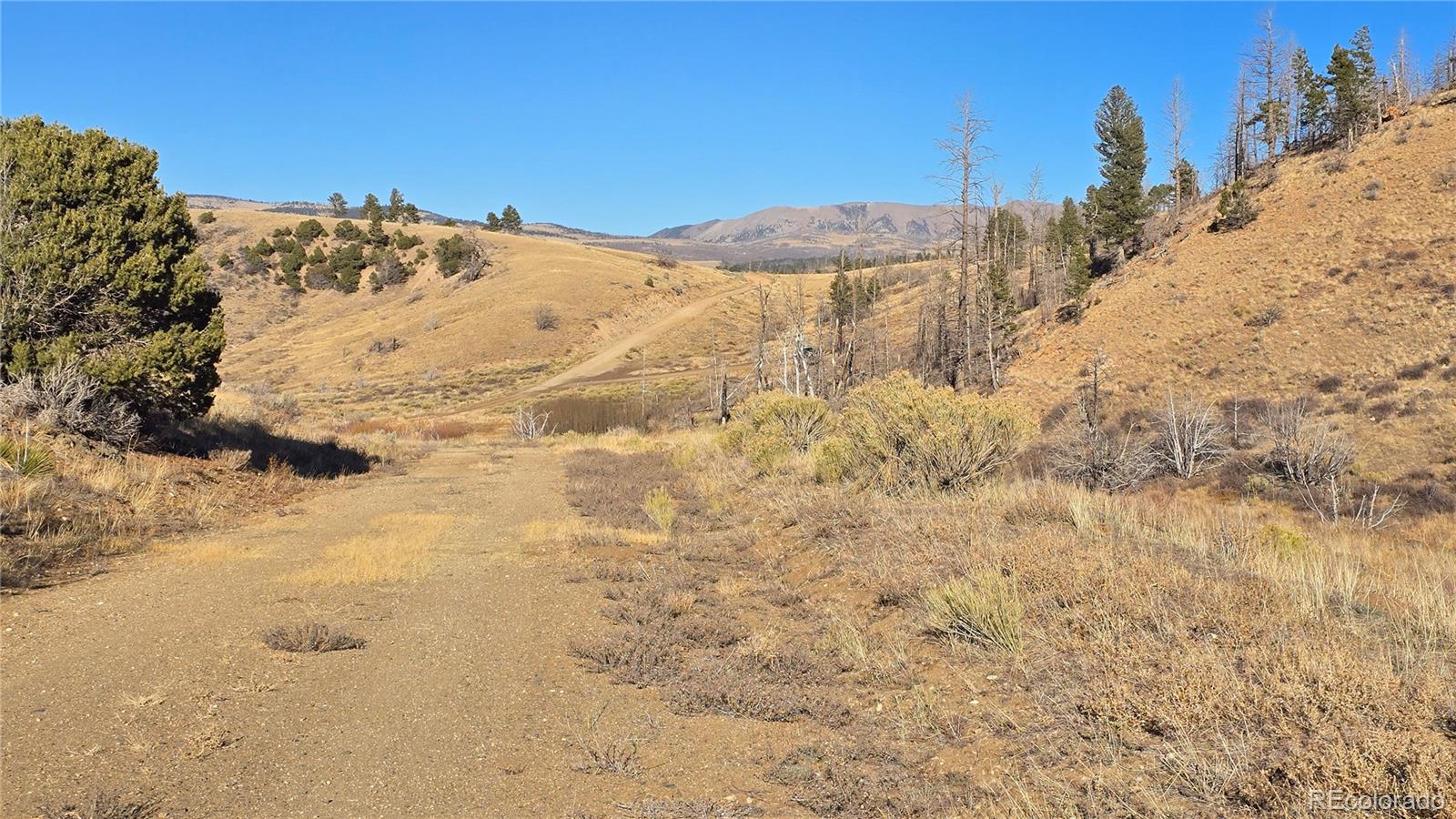 7741 Van Giesen Road