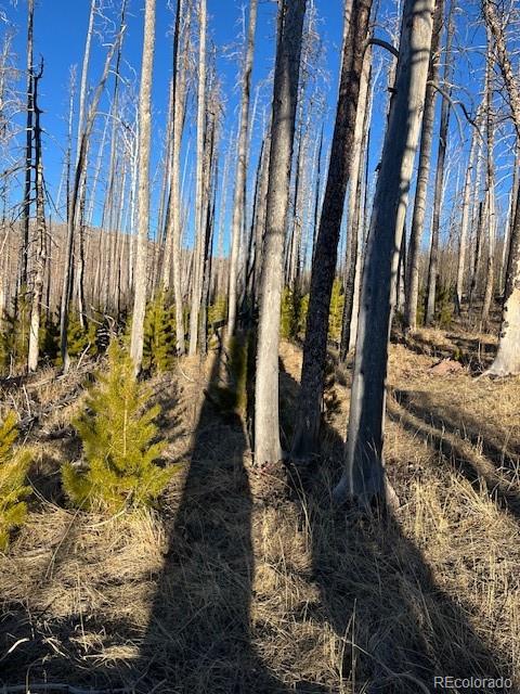 Lot 1502 Vonheyl Lane