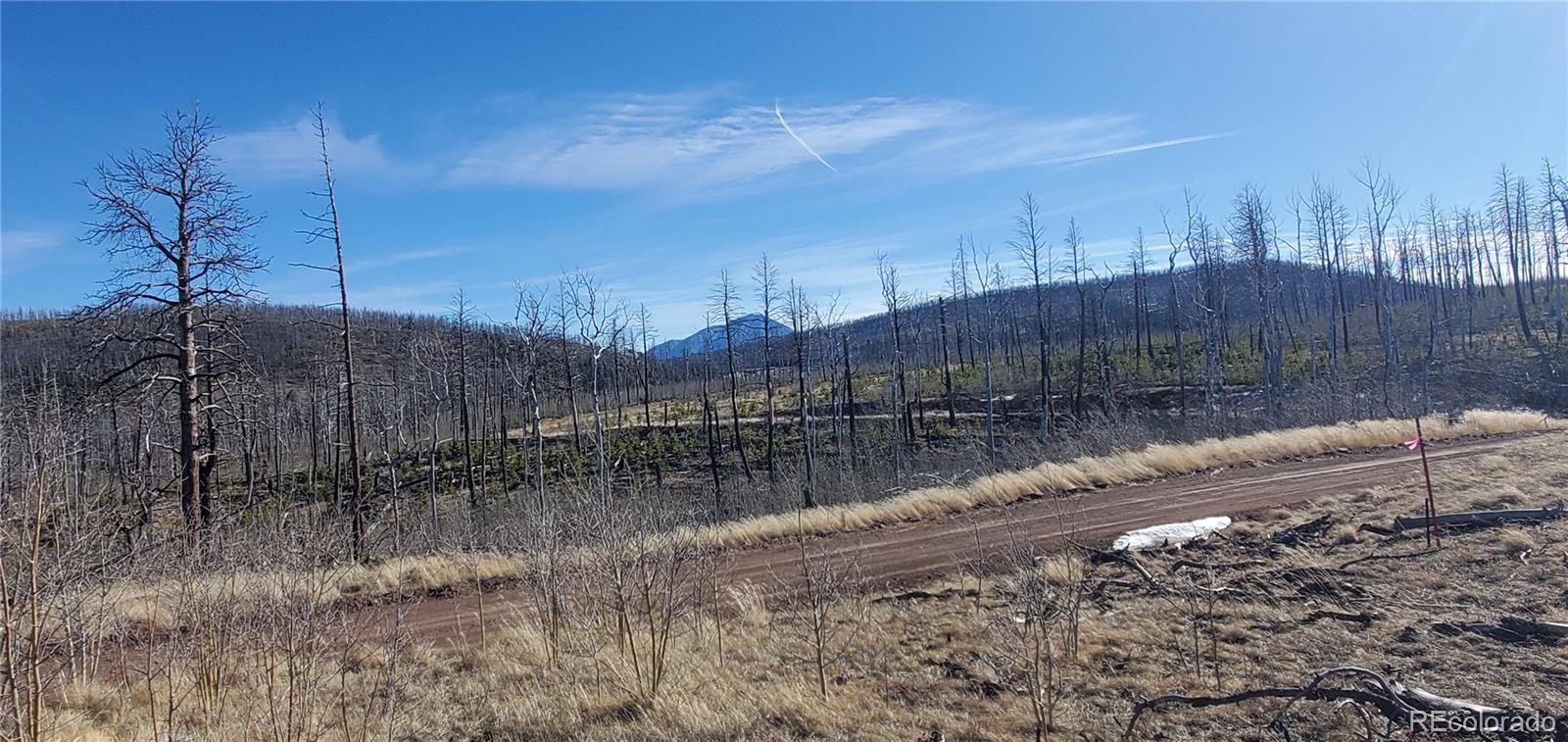 Lot 1566 Cary Lane
