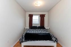 11 Oliti Crt Main