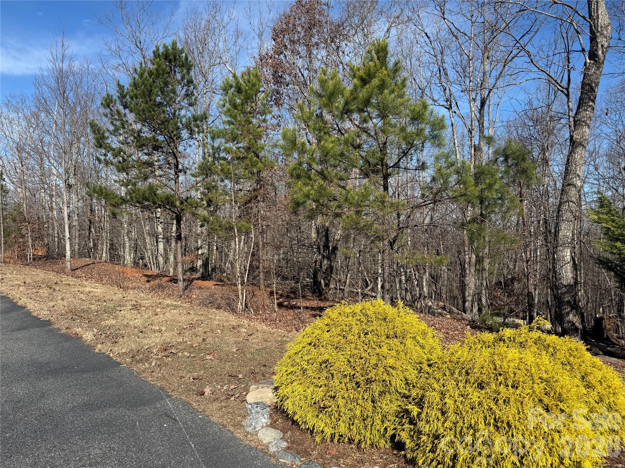 108 Woodgate Trail 94