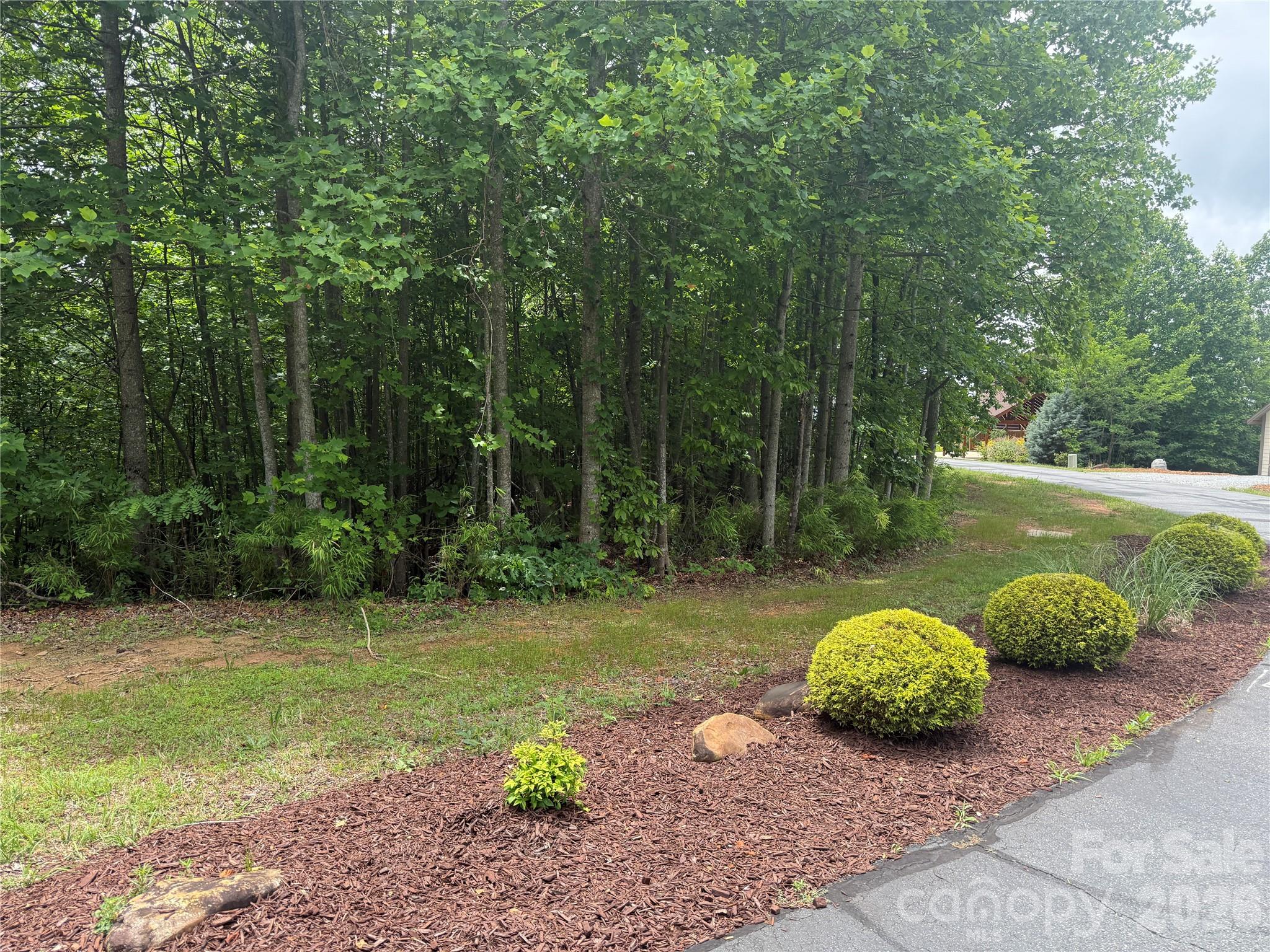 V/L Scenic Vista Drive 246