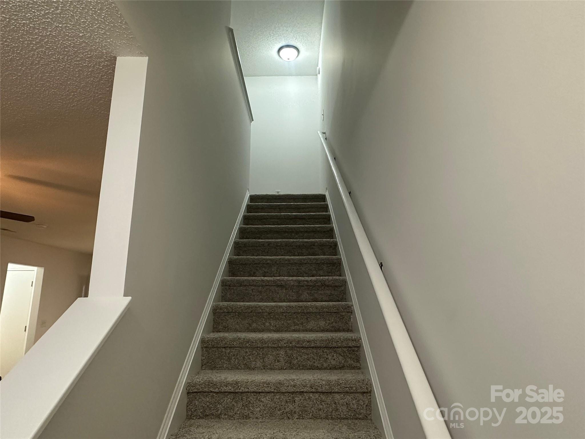 8829 Michaw Court
