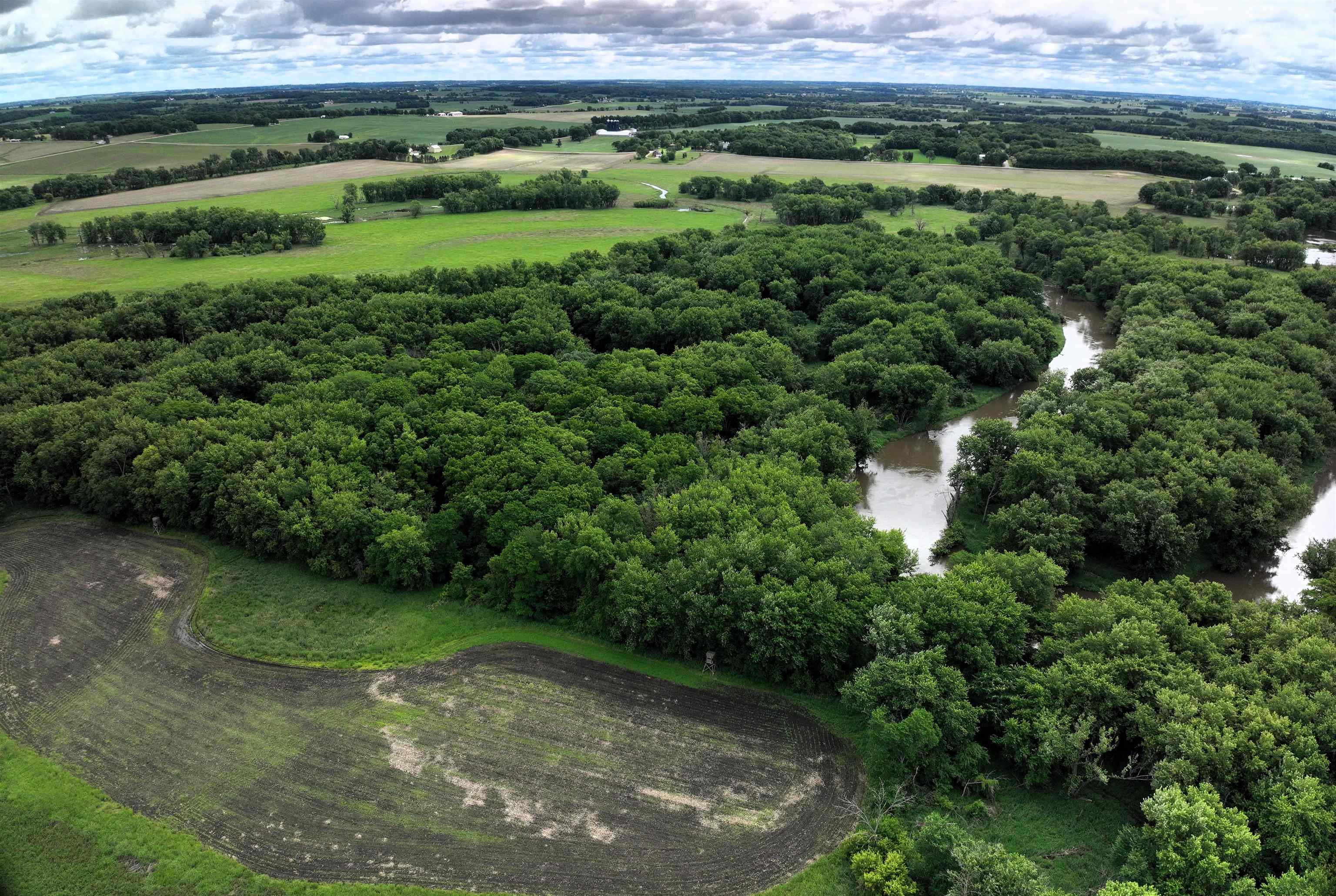 89.14 Acres Smokey Hollow