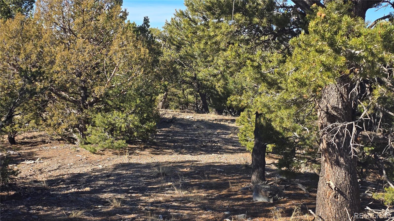 Lot 4510 Iannelli Road