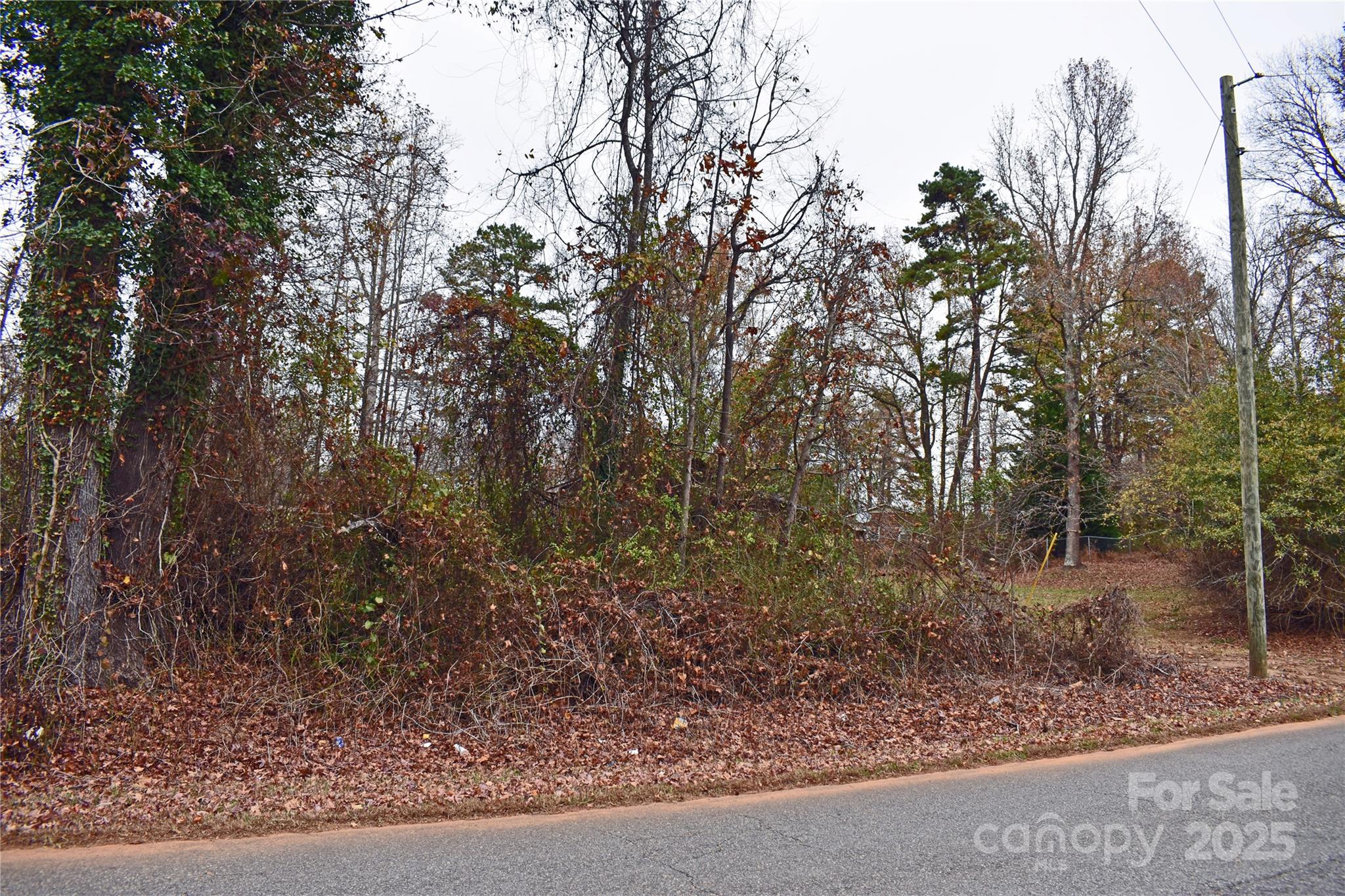 00 Horseshoe Lake Road