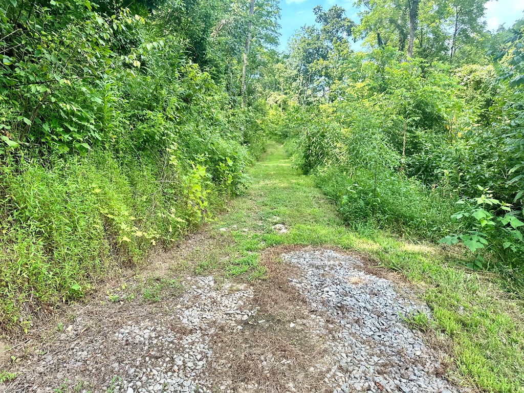 392 Possum Hollow Rd