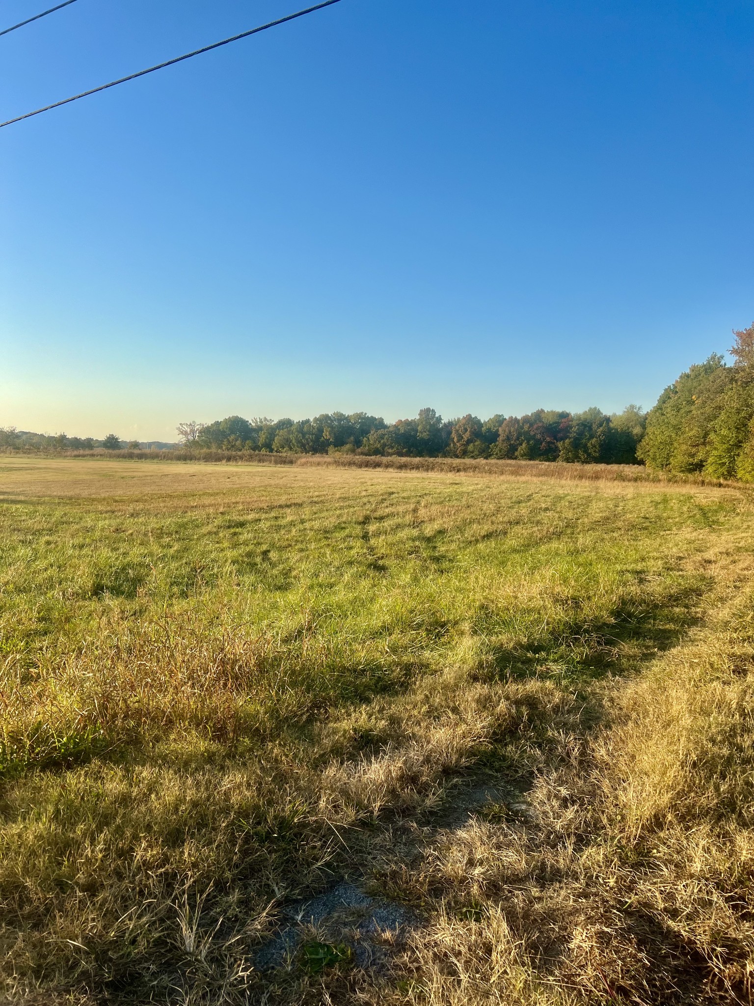 Clear land with so many possibilities! Could be use for single housing, or possibly developed. No perk testing done. Has previously been used for nursery stock. Nursery stock or shooting house do not convey.