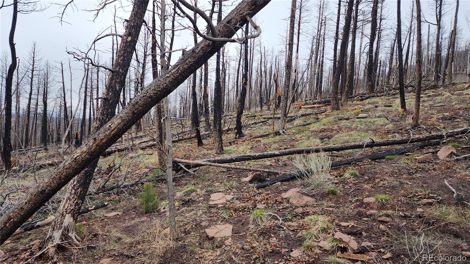 Lot 1735 Mara Loop