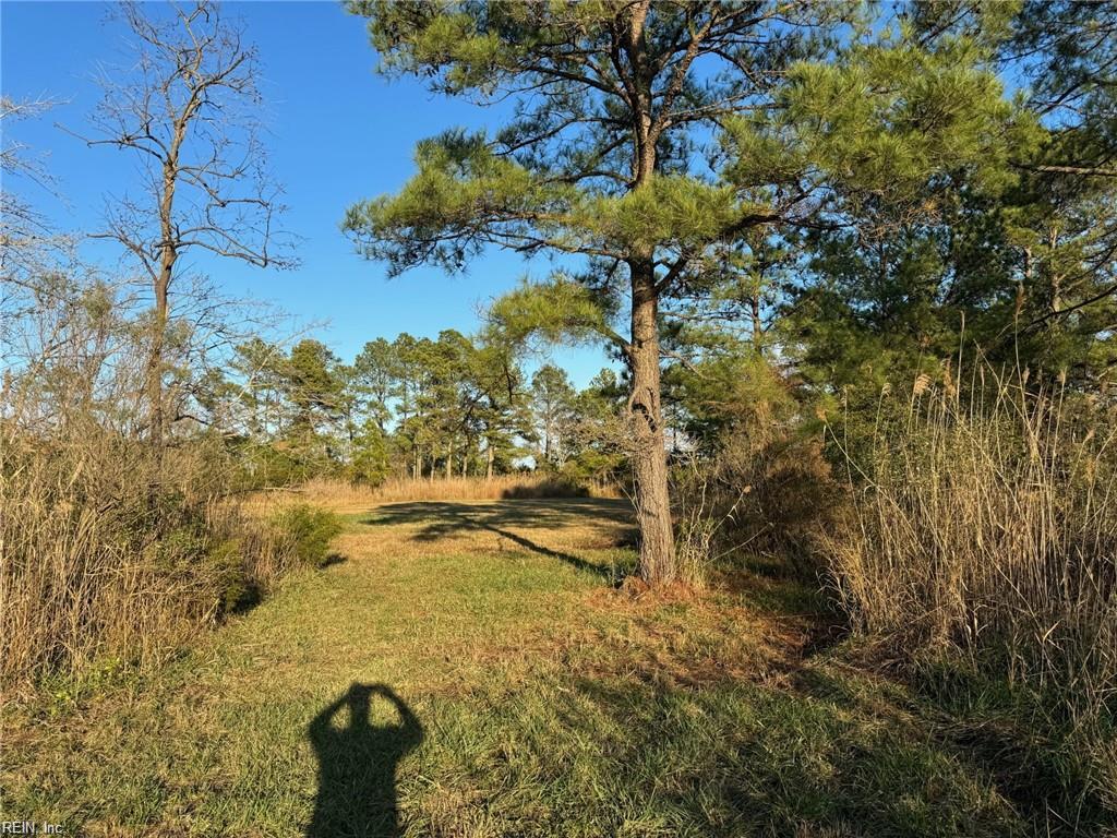 151 Messick Road