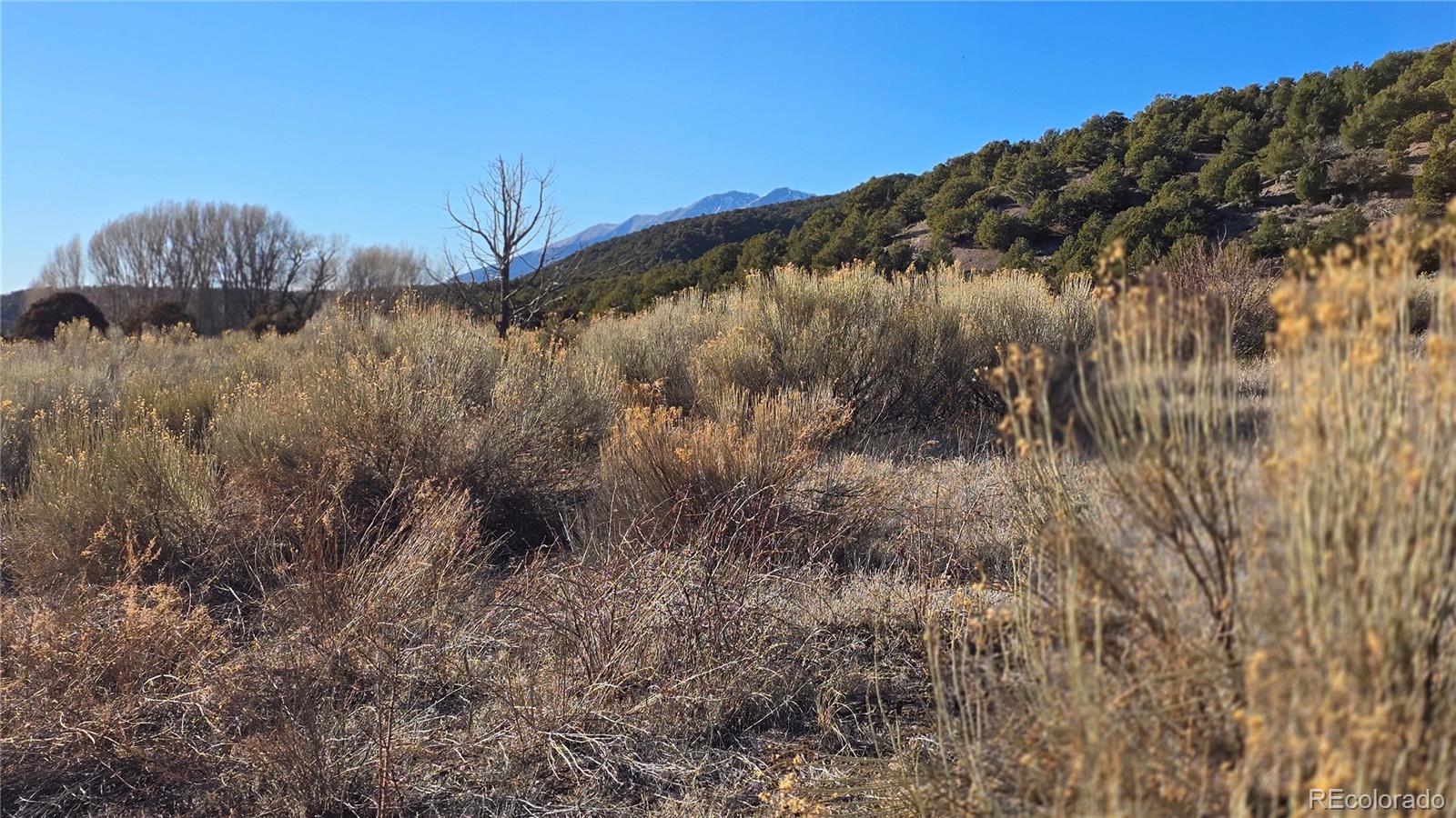 Lot 7542 Indian Creek Road