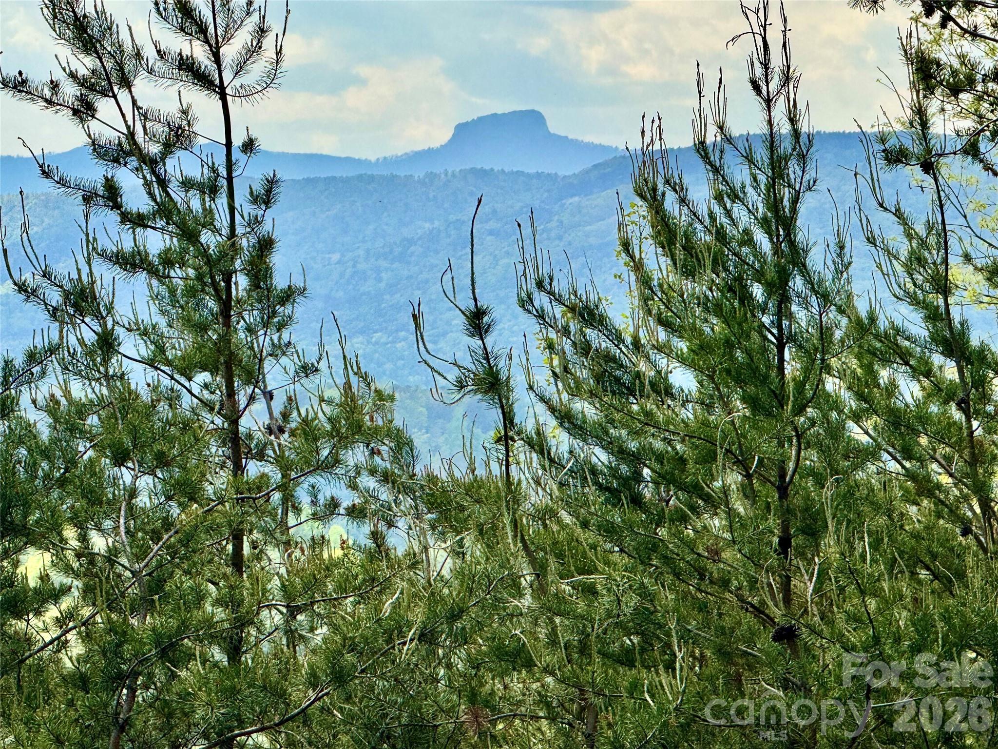 Lot 161/162 Rocky Falls Lane 161/162