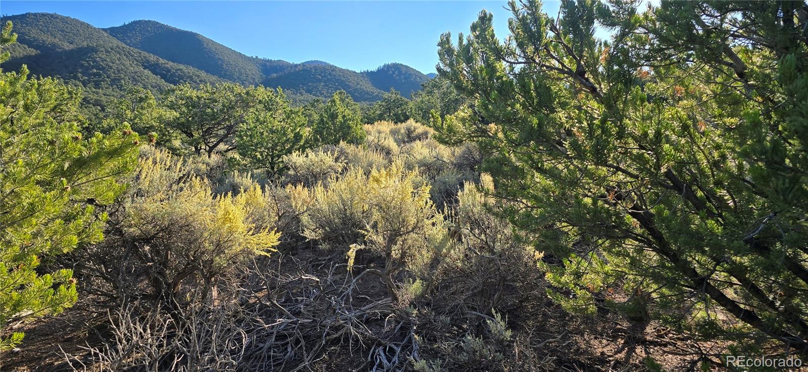 Lot 1361 Dunn Road